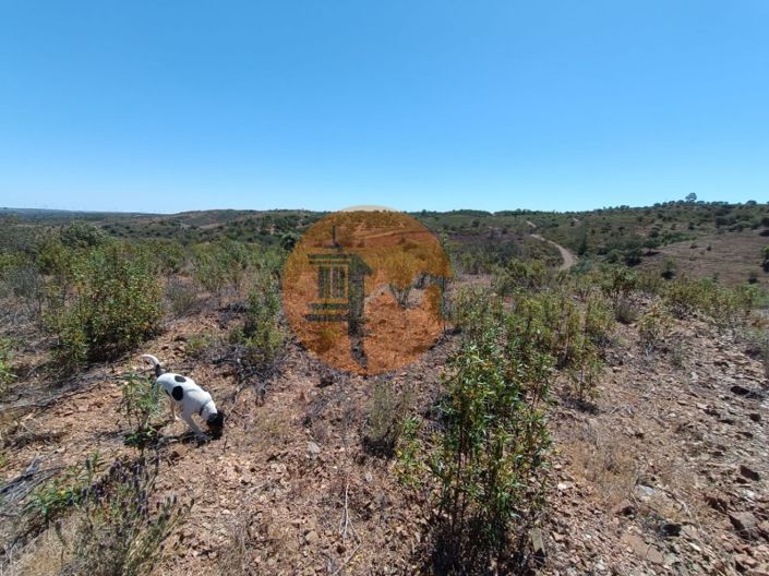 Image No.37-Plot for sale