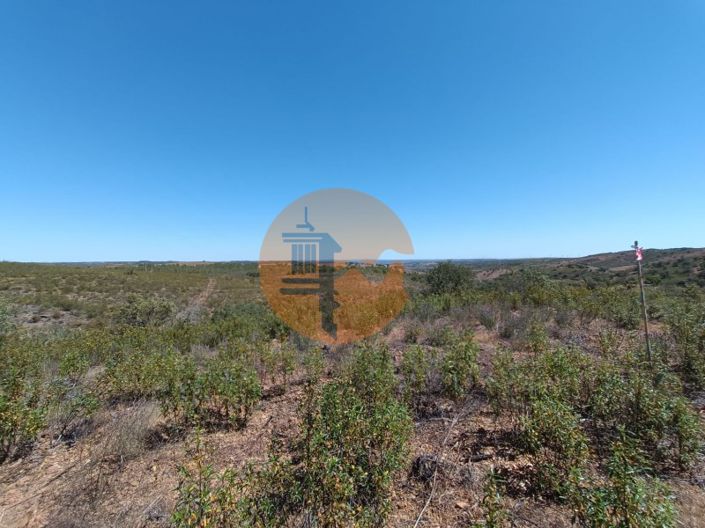 Image No.40-Plot for sale