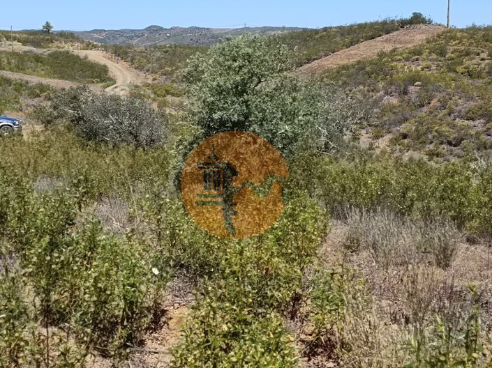 Image No.41-Plot for sale