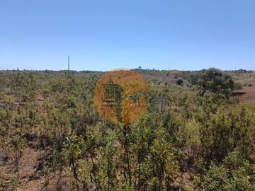 id55c26a01-0000-0500-0000-00001142d0a0