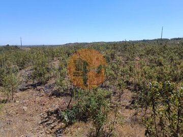 id55c26a01-0000-0500-0000-00001142d0a1