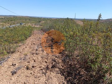 id55c26a01-0000-0500-0000-00001142d0a3