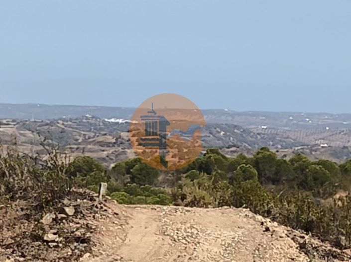 Image No.13-Plot for sale