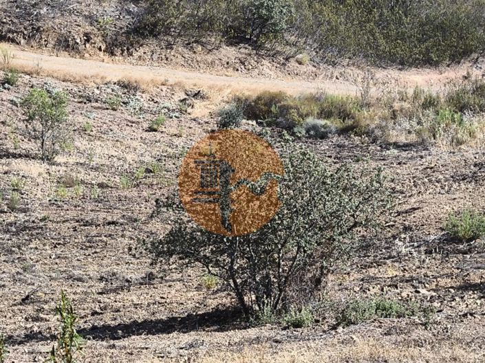 Image No.29-Plot for sale