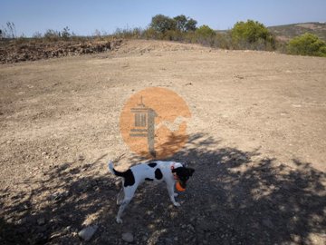 ide75c8001-0000-0500-0000-000017feb320