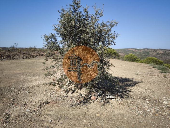 Image No.31-Plot for sale