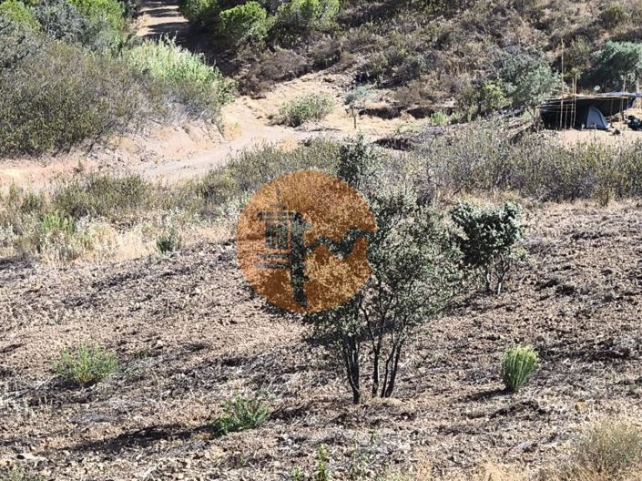 Image No.32-Plot for sale