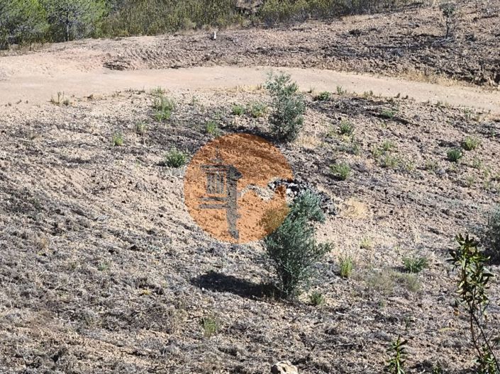 Image No.40-Plot for sale