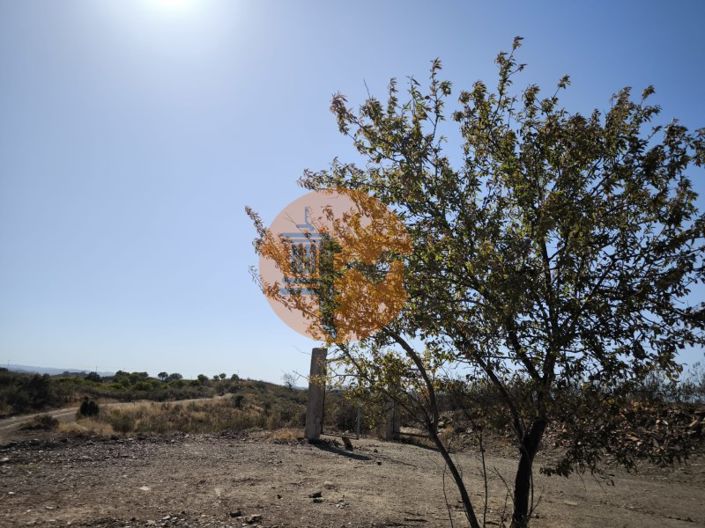 Image No.6-Plot for sale