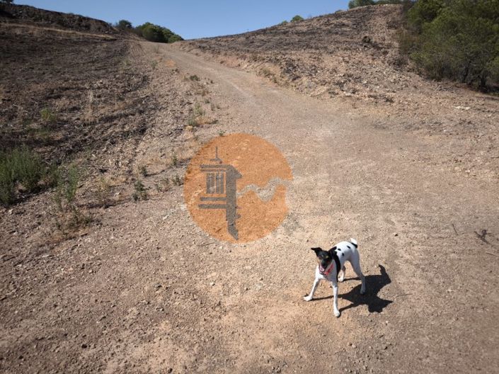 Image No.9-Plot for sale