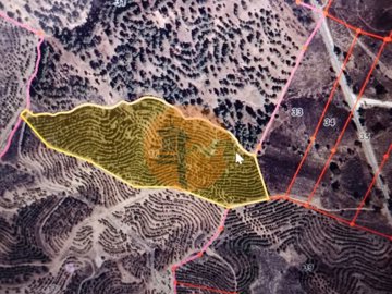 idf1916701-0000-0500-0000-00001142c321