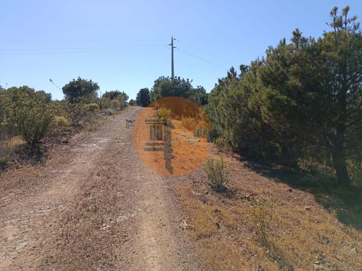 Image No.12-Plot for sale