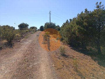 idf1916701-0000-0500-0000-00001142c325