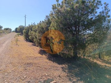 idf1916701-0000-0500-0000-00001142c326