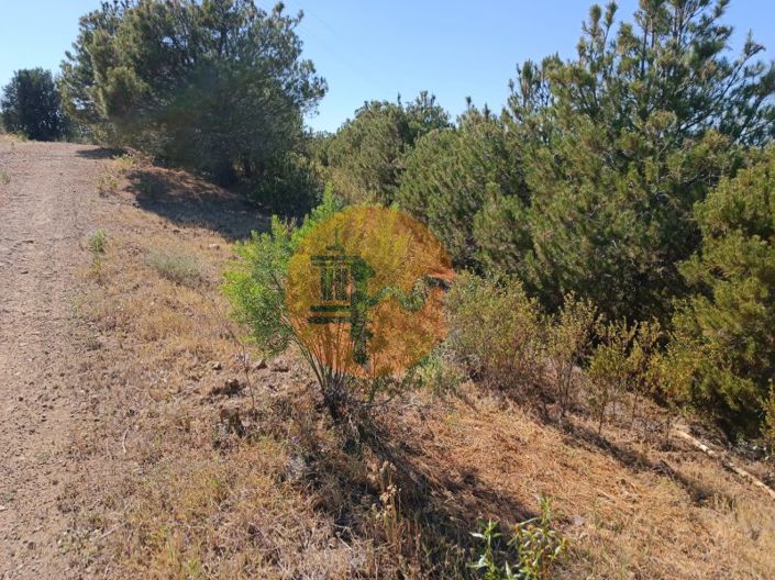 Image No.14-Plot for sale