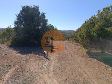 idf1916701-0000-0500-0000-00001142c32a