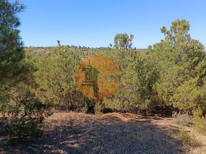 Image No.17-Plot for sale