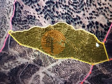 idf1916701-0000-0500-0000-0000110f48dd