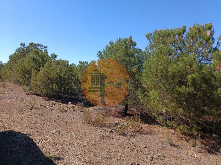 Image No.26-Plot for sale