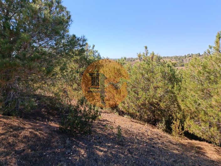 Image No.29-Plot for sale