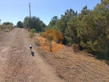 idf1916701-0000-0500-0000-00001142c314