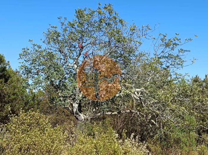 Image No.32-Plot for sale