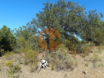 idf1916701-0000-0500-0000-00001142c315