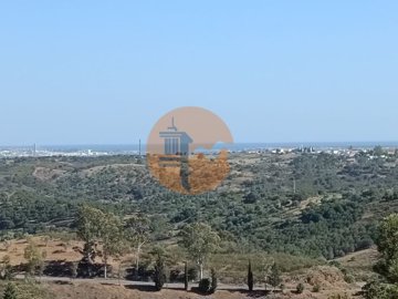 idf1916701-0000-0500-0000-00001142c31b