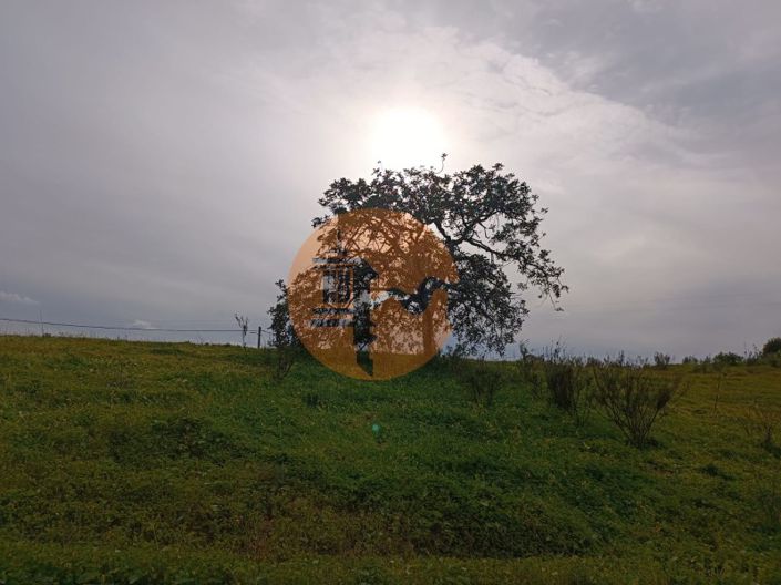 Image No.12-Plot for sale