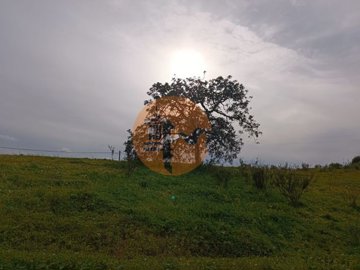 idb2956701-0000-0500-0000-0000110676ba