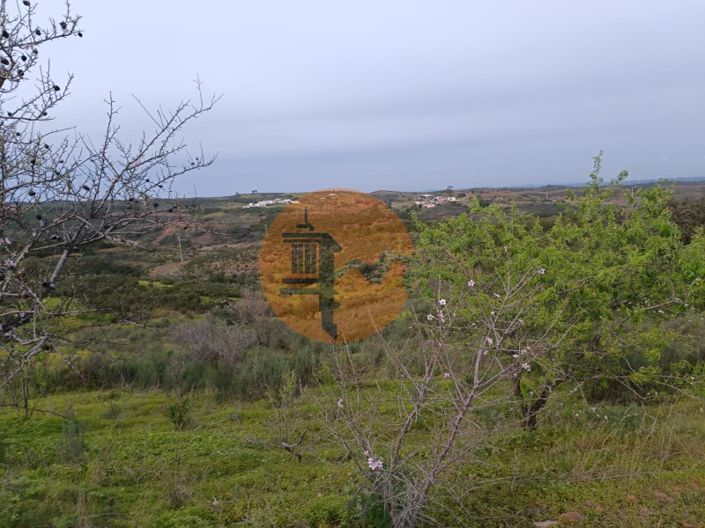 Image No.14-Plot for sale