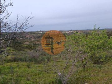 idb2956701-0000-0500-0000-0000110676bd