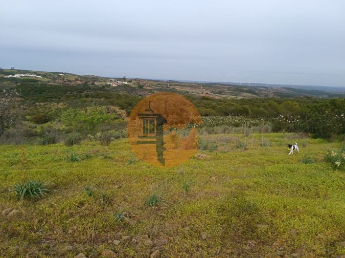 Image No.15-Plot for sale