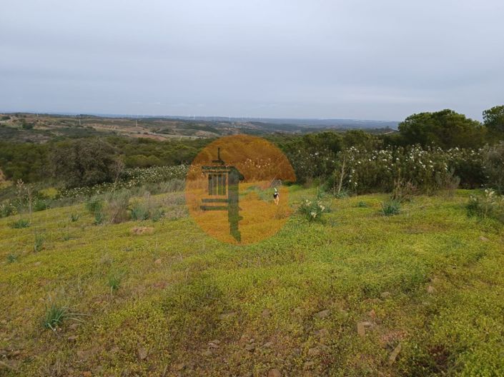 Image No.32-Plot for sale