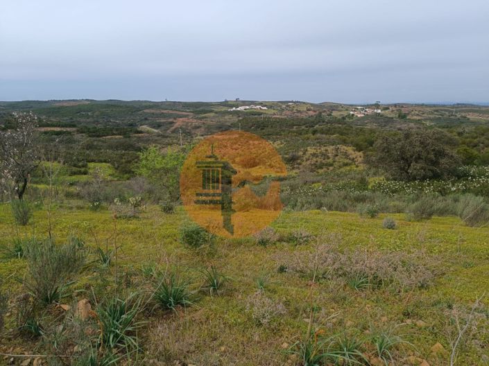 Image No.38-Plot for sale