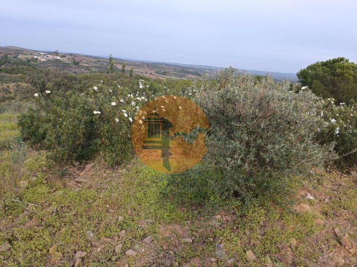 Image No.39-Plot for sale