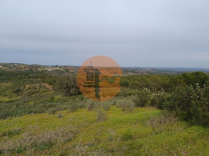 Image No.40-Plot for sale