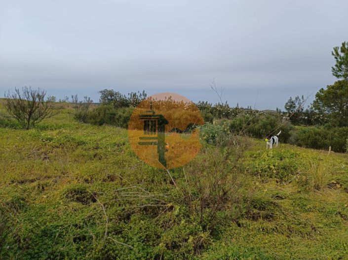 Image No.41-Plot for sale