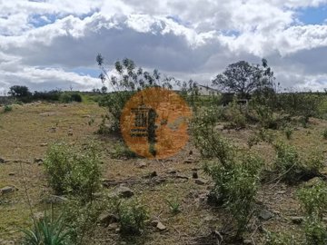 id989c6701-0000-0500-0000-000010fe0bd2