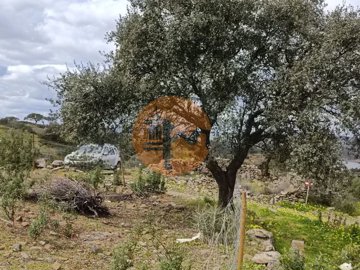 id989c6701-0000-0500-0000-000010fe0bd6