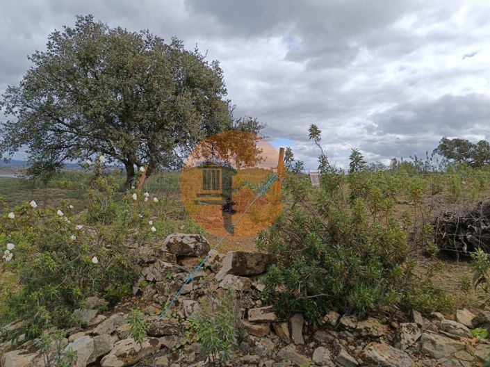 Image No.3-Plot for sale