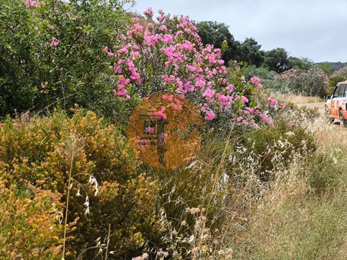 Image No.12-Plot for sale