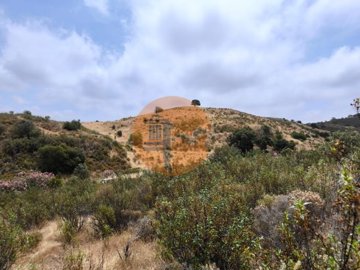 id002e8d01-0000-0500-0000-0000164fbfac