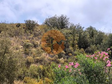 id002e8d01-0000-0500-0000-0000164fbfb2