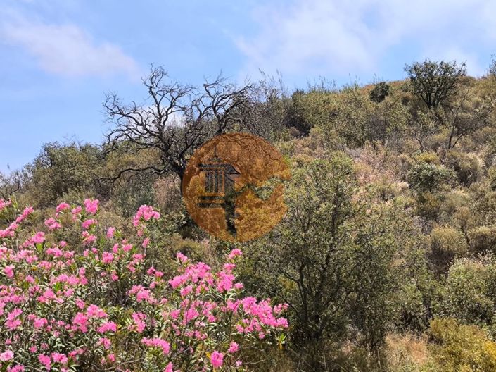 Image No.15-Plot for sale