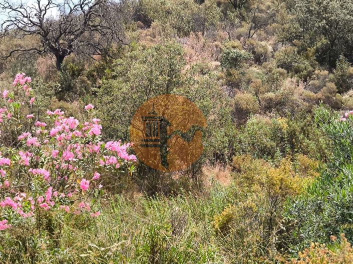 Image No.17-Plot for sale