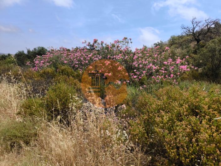 Image No.18-Plot for sale