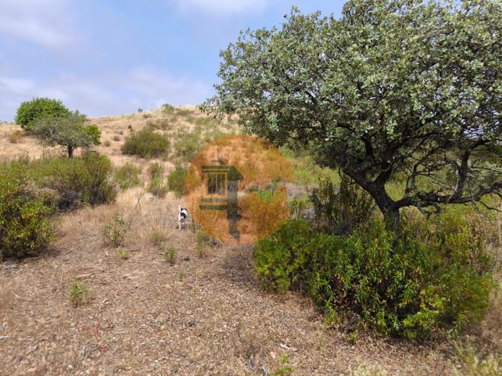 Image No.4-Plot for sale