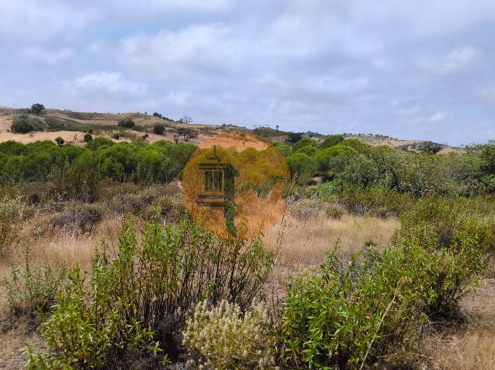 Image No.7-Plot for sale