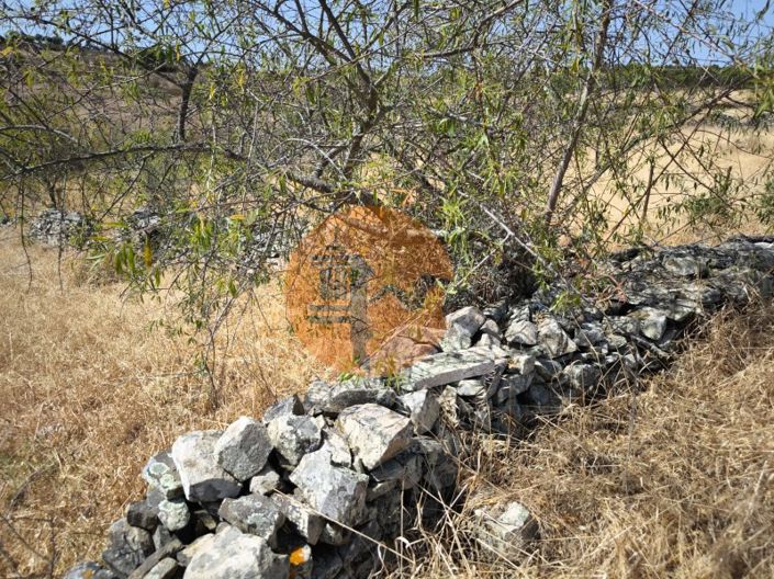 Image No.10-Terrain à vendre à Alcoutim